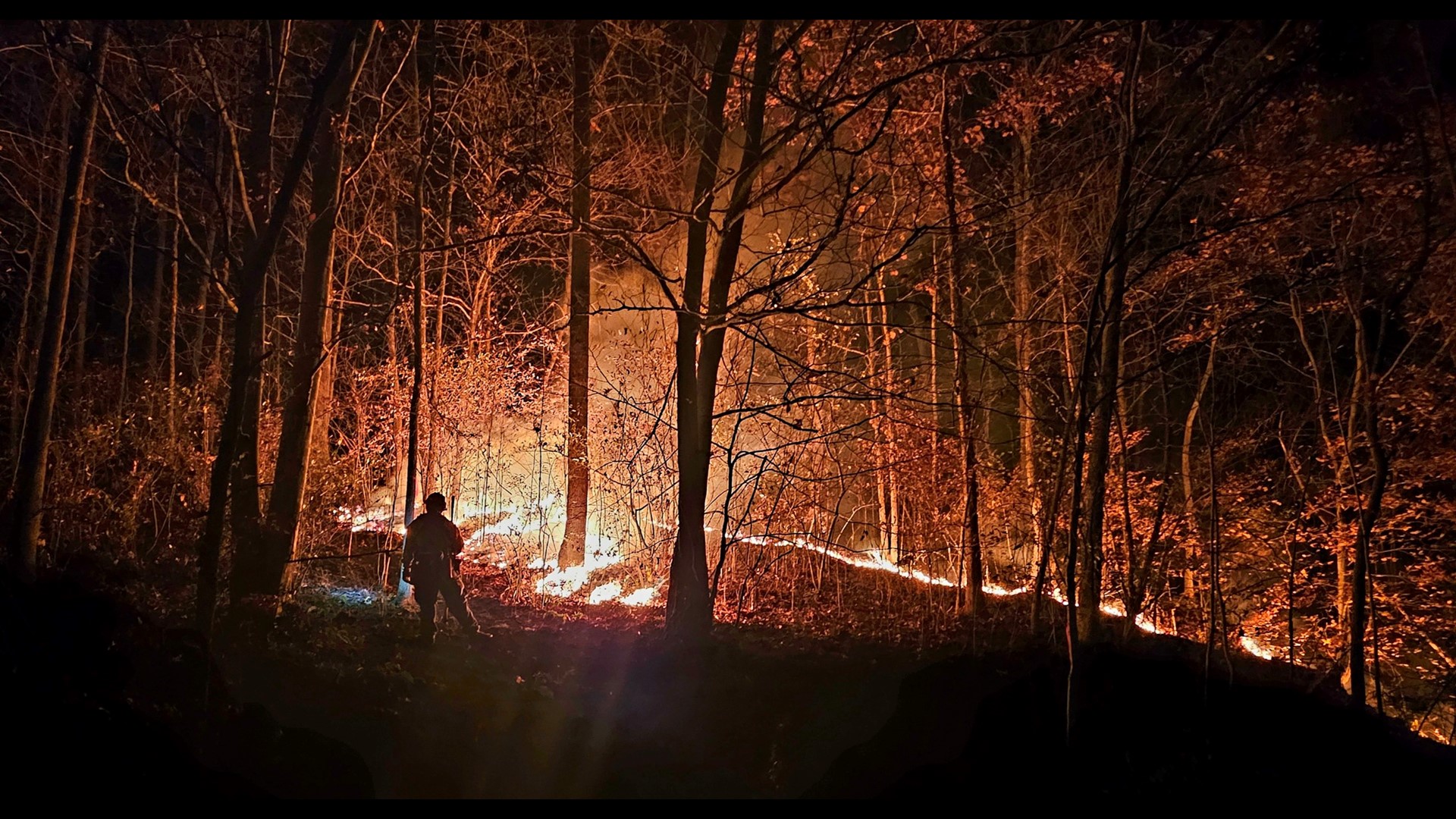 Dozens of wildfires rage in eastern Kentucky; Burn bans in effect