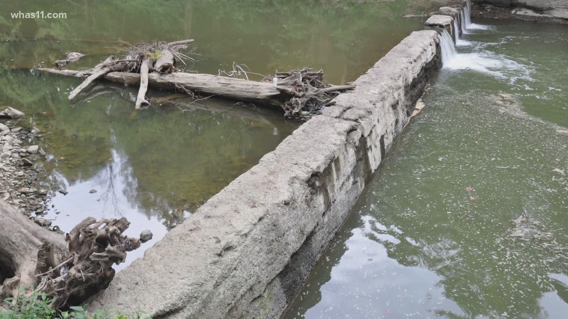 Some are concerned that the removal of the dam in Silver Creek could cause issues in New Albany.