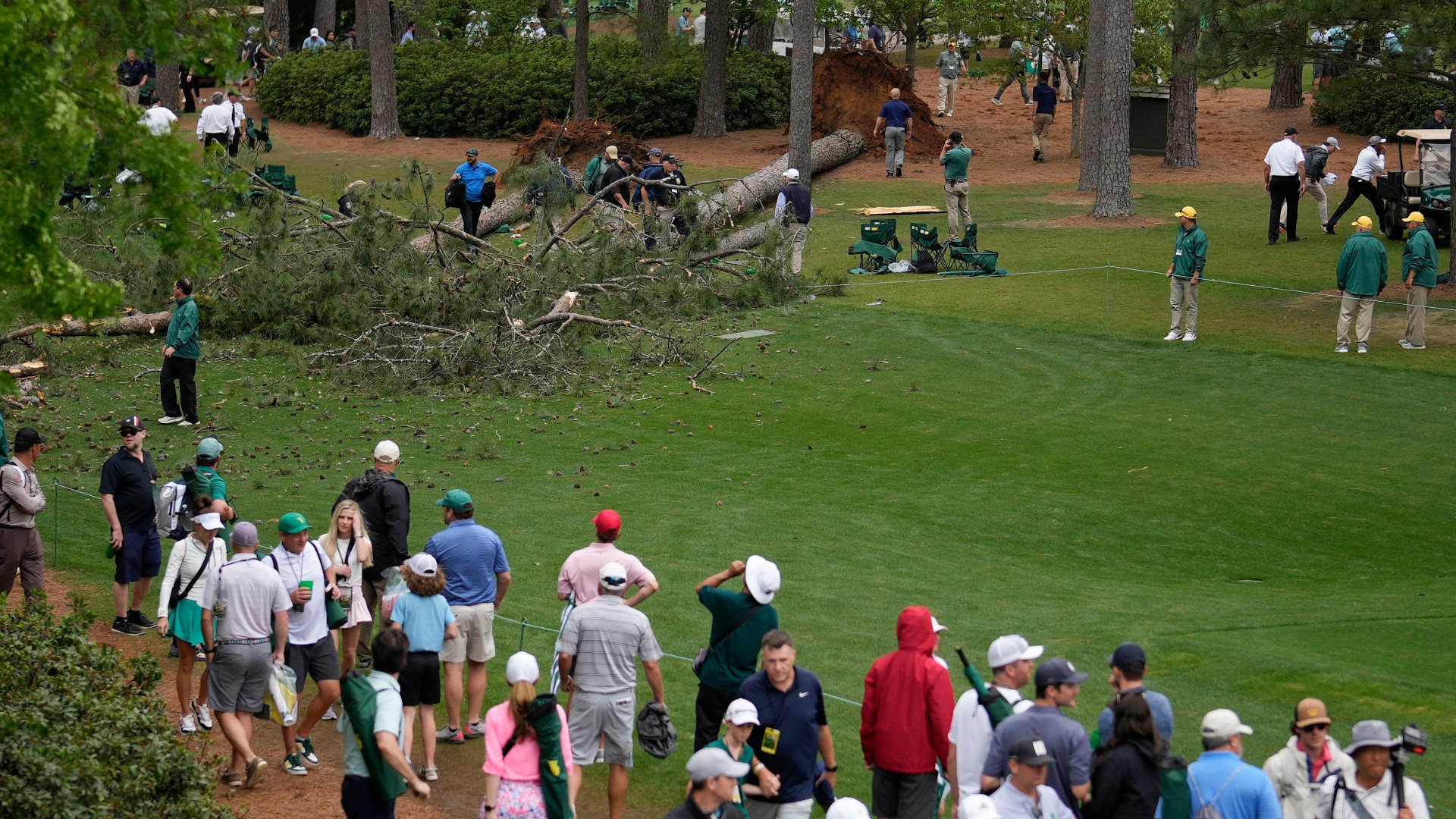 PHOTOS | Tree falls at Masters Tournament in Georgia | whas11.com