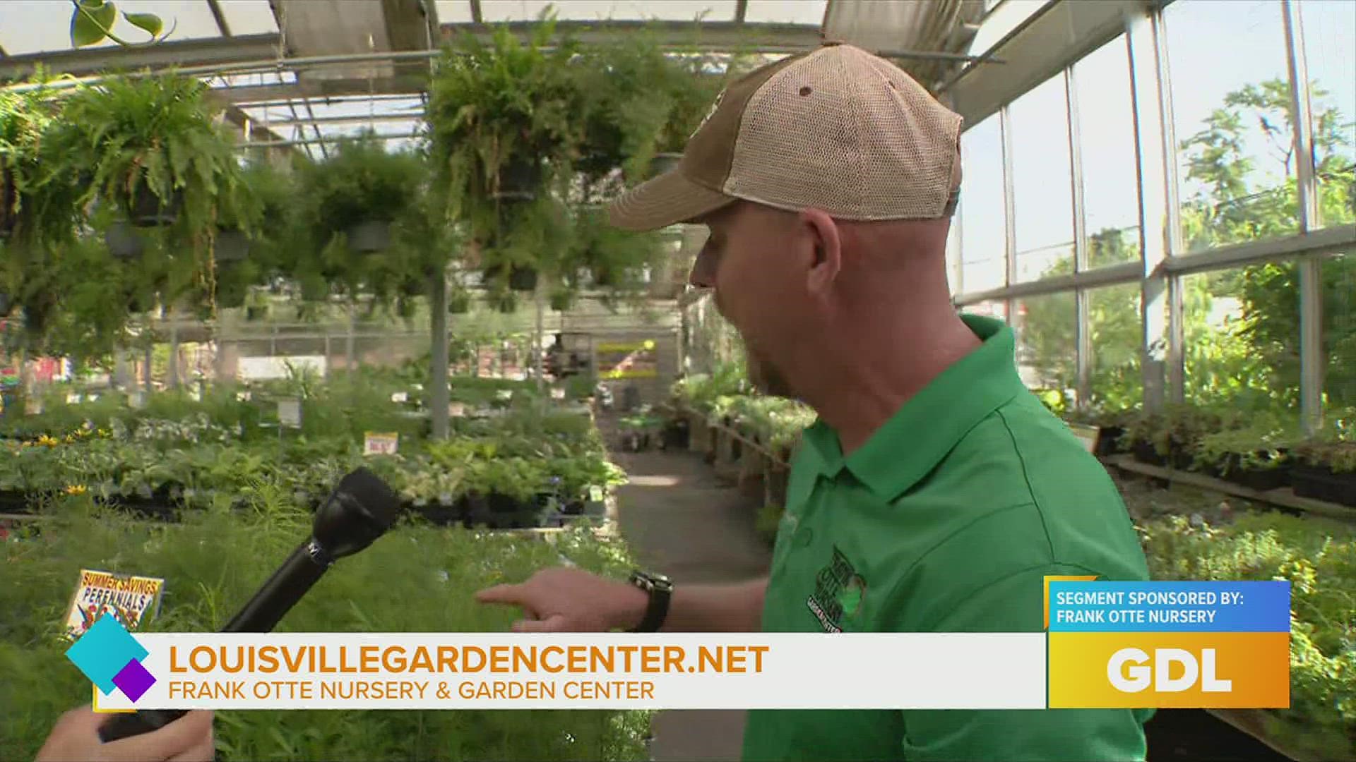 Frank Otte Nursery & Garden Center talks Memorial Day sale, indoor plants, and more!