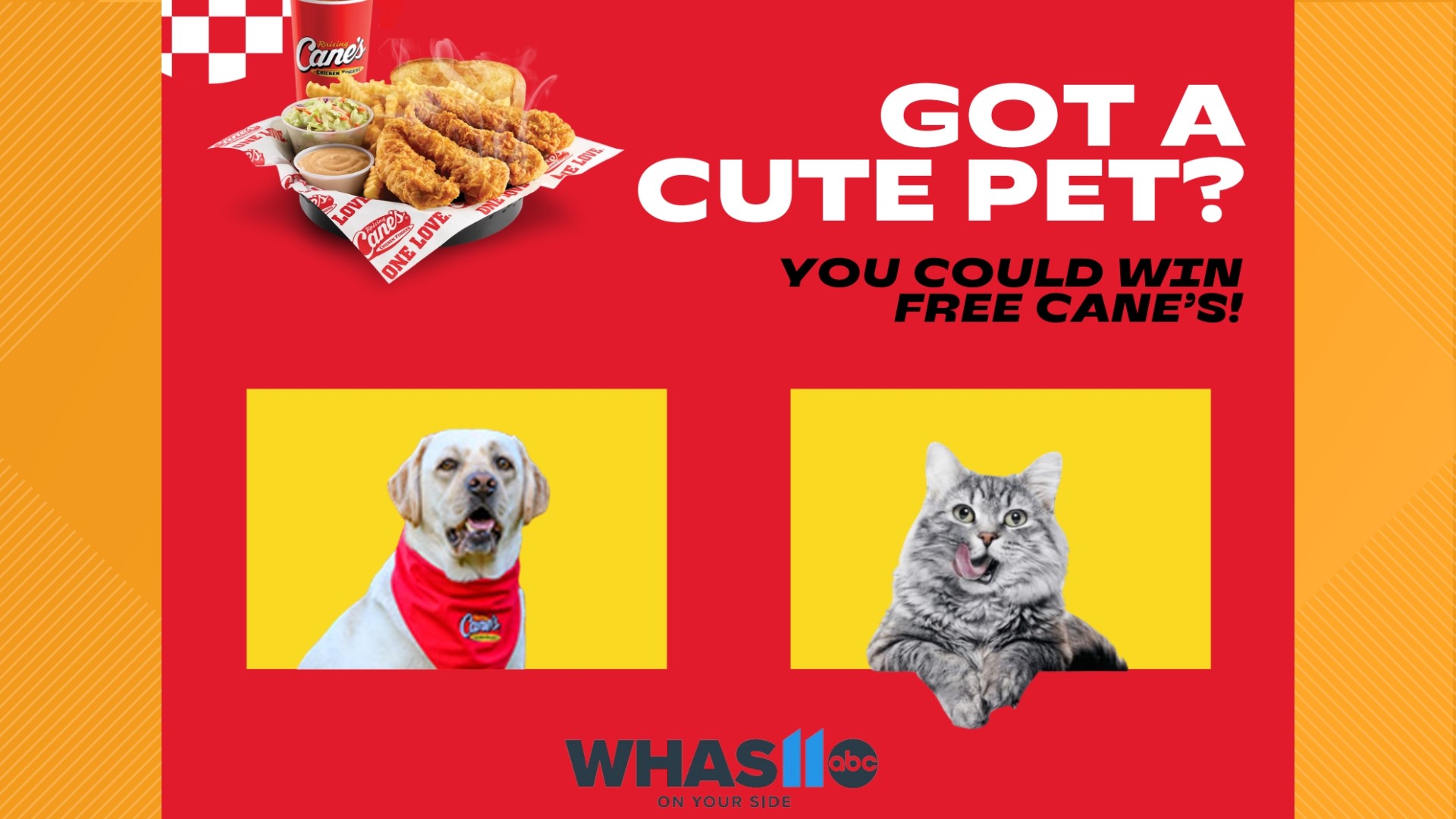 Raising Cane’s Cutest Pet Contest Ends Feb. 13, 2024