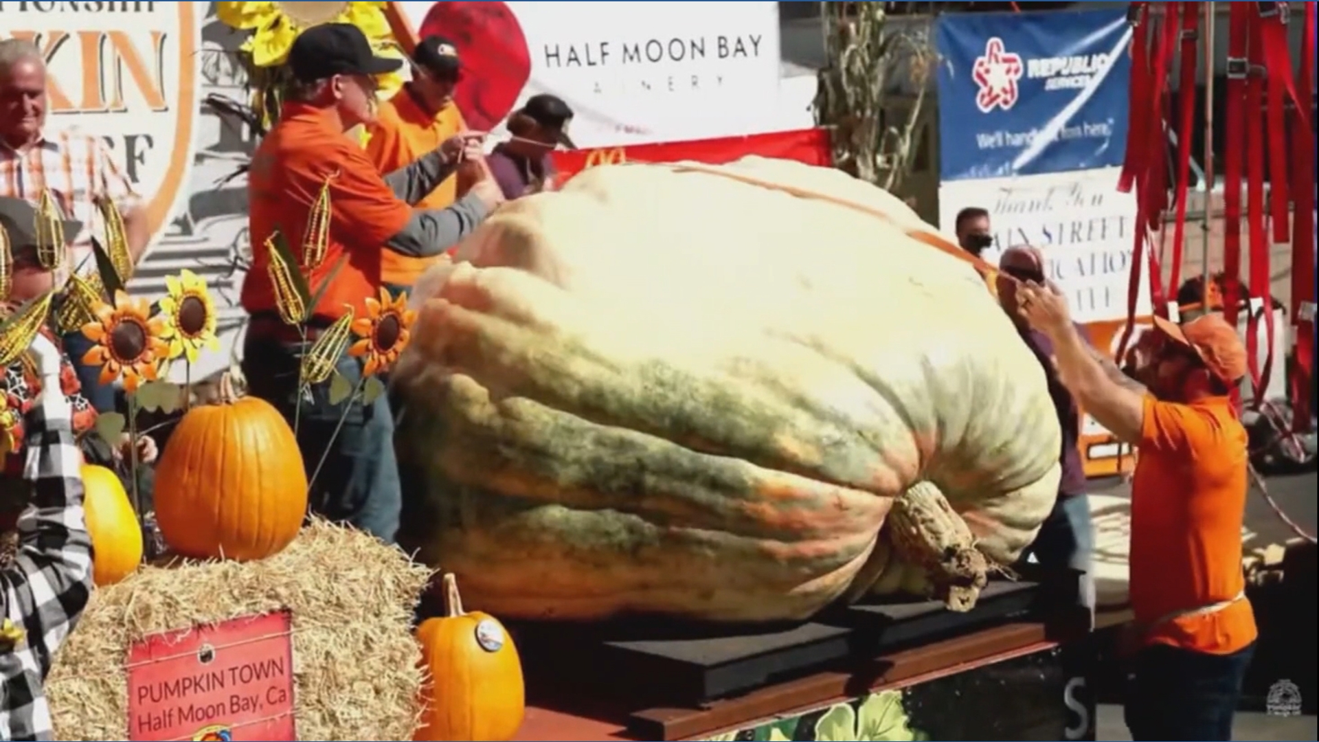 2,389-pound pumpkin crushes competition in California | whas11.com