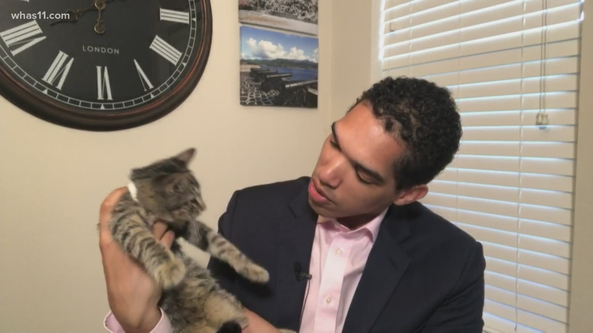 Meteorologist Alden German has been fostering little Bronx and this three-and-a-half month old kitten is ready for his forever home!