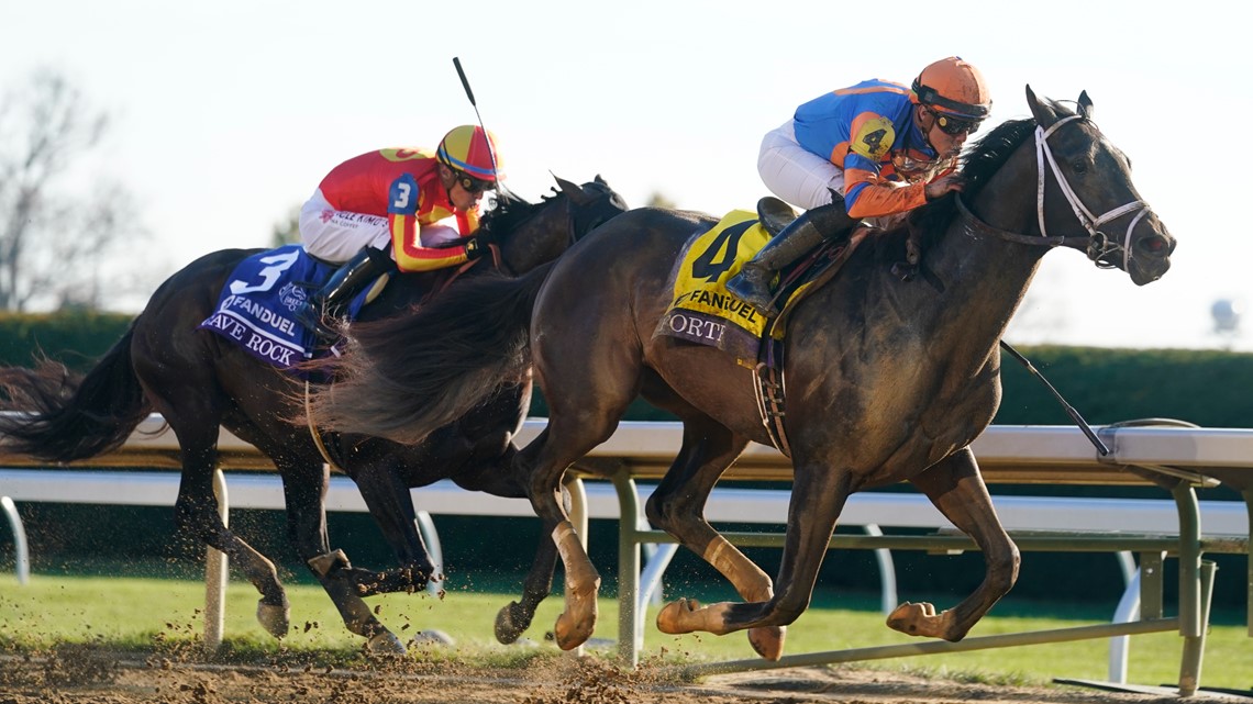 Wonder Wheel wins Fillies; Forte wins Breeders' Cup Juvenile - Vimarsana News