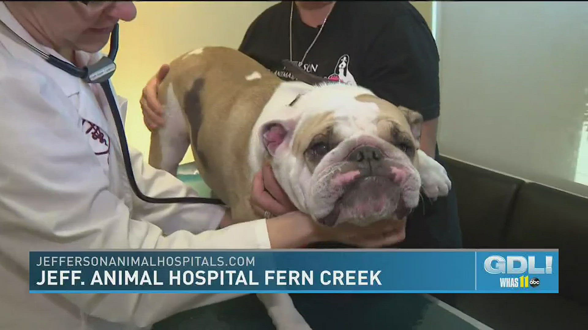 Jefferson Animal Hospital puts furry family members first 