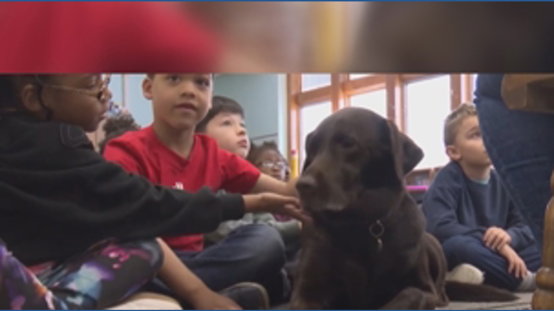 This Indiana support dog 'Truly' helps kids and students | whas11.com