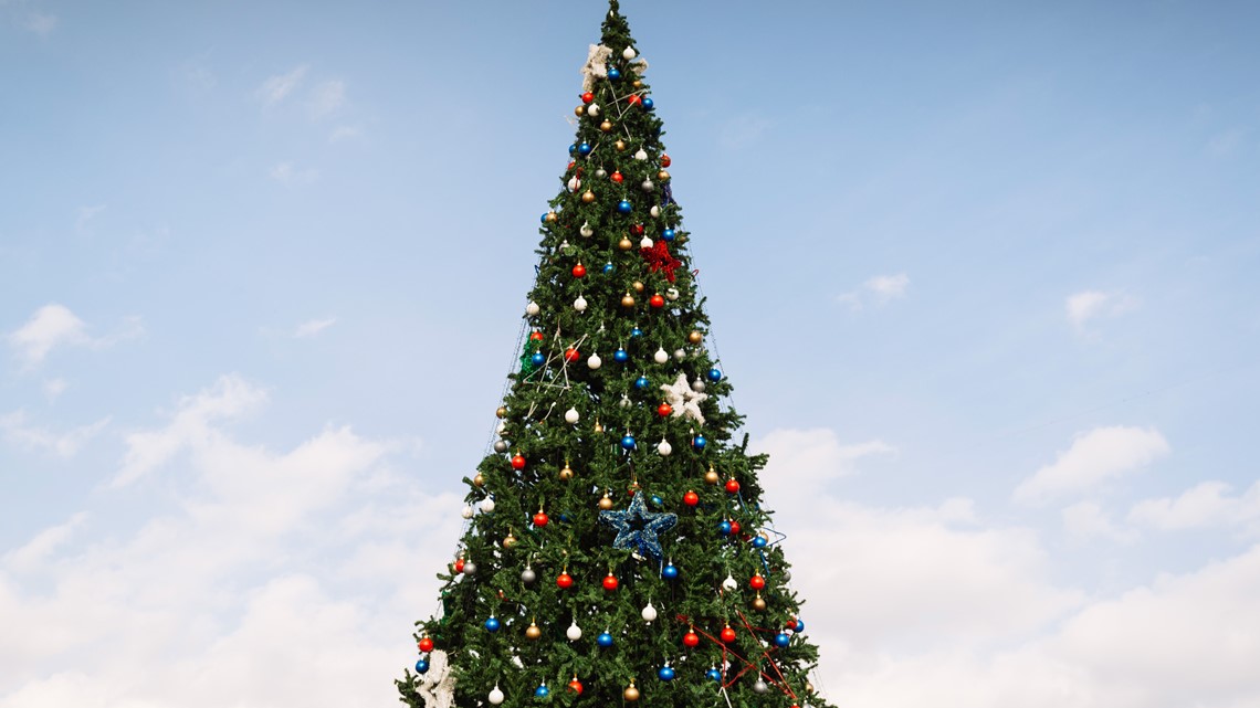Amazon donates 75 trees for Louisville's 'Lights on Main' event - Vimarsana News
