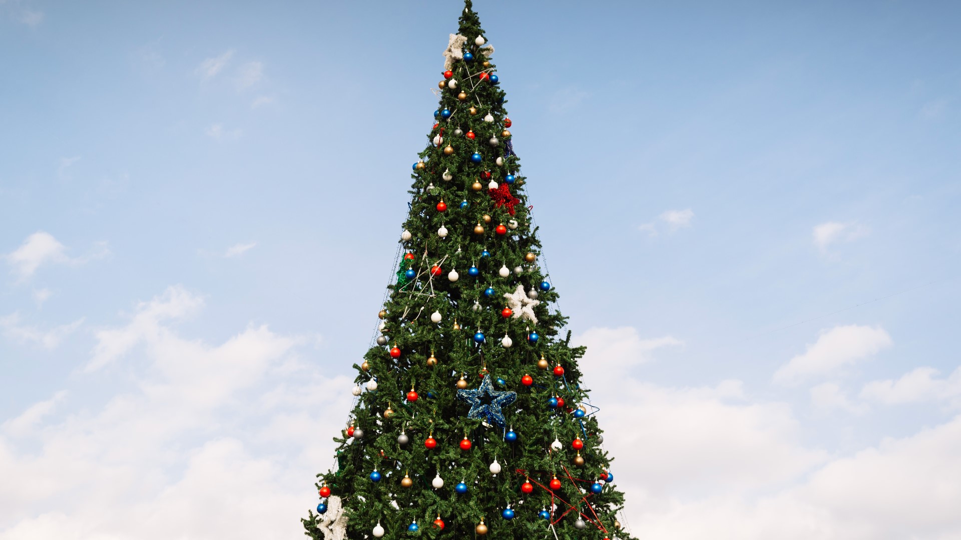 The trees, donated through sponsorships, will play a significant role in supporting the children in our community.