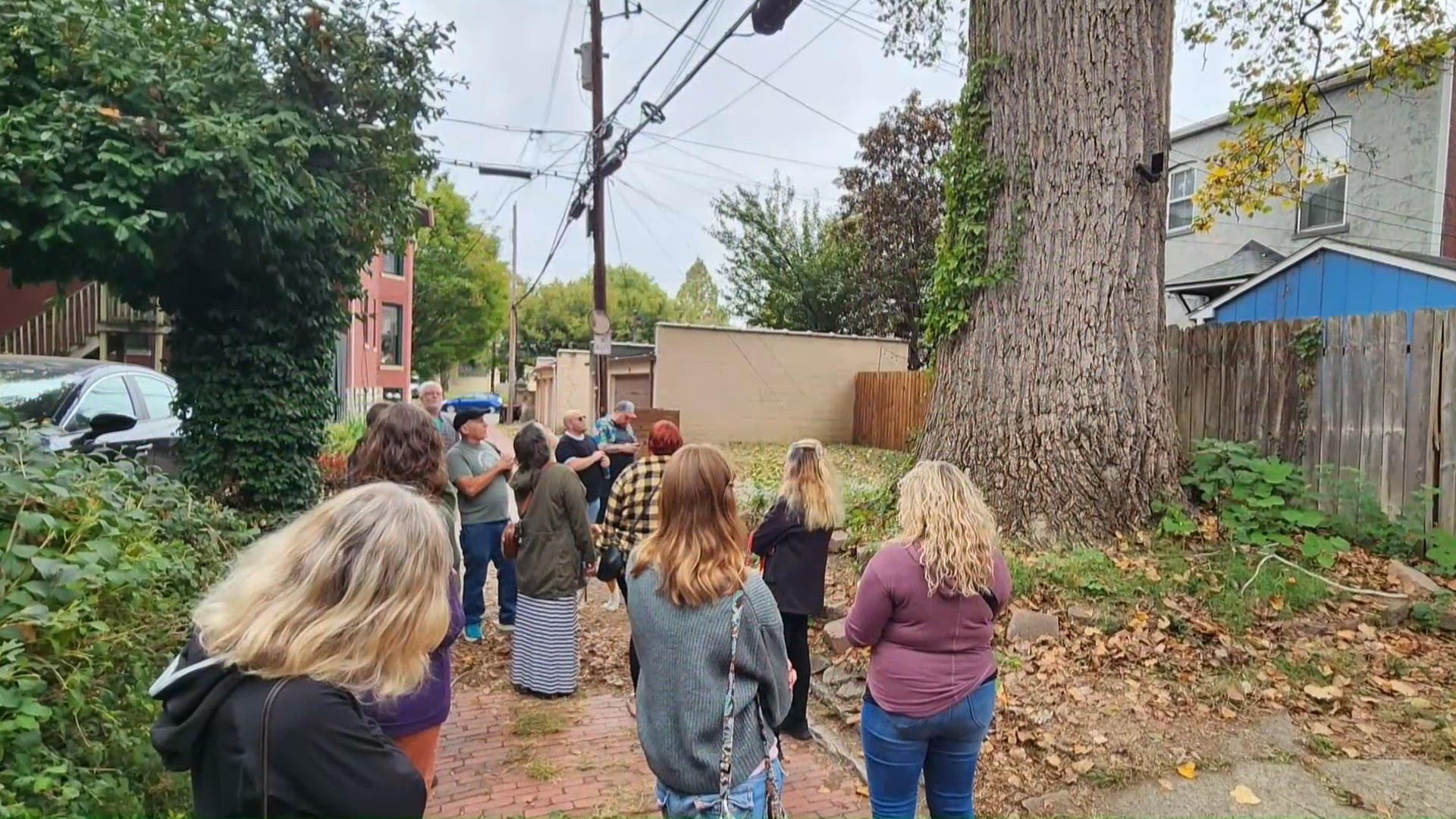 TreesLouisville measures nature's giants in Old Louisville in ...