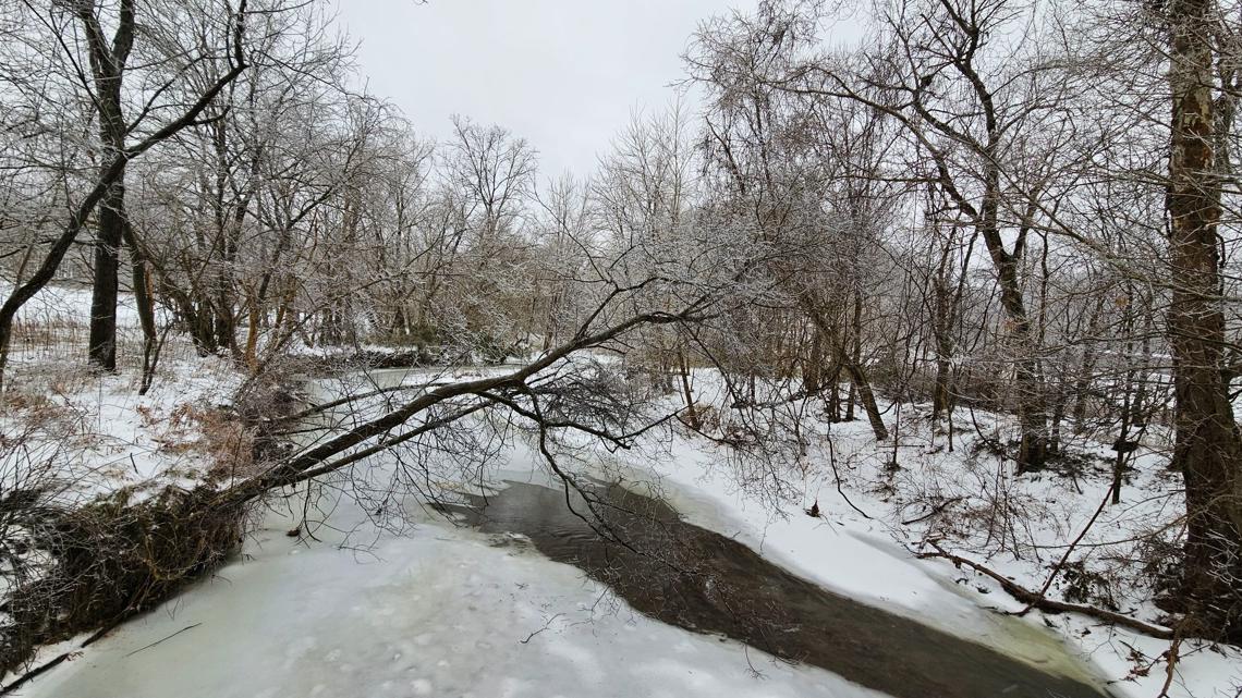 YOUR PHOTOS: Kentuckiana wrapped in winter magic