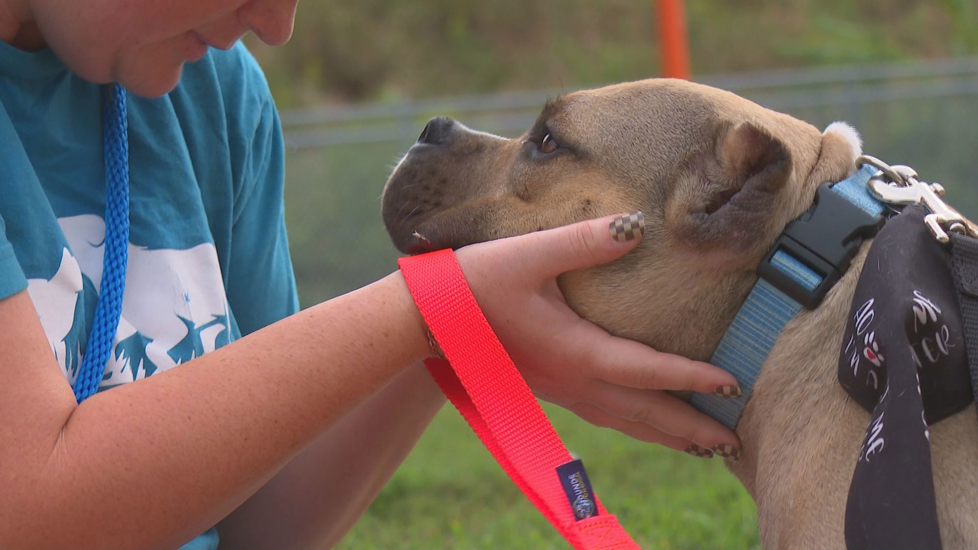 A Louisville Metro Animal Services volunteer called her the "happiest little hippo."