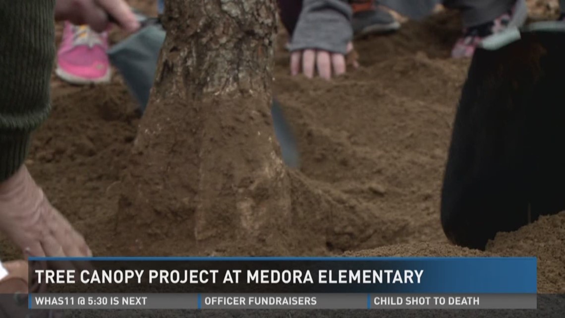 Tree canopy project at Medora Elementary | whas11.com