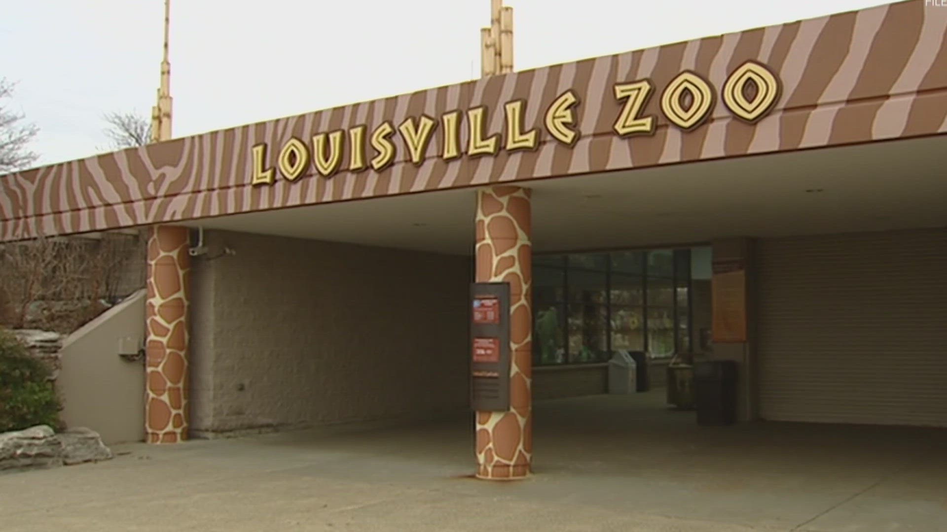 At least one Kentucky school district had to cancel field trips due to the police activity at the Louisville Zoo on Friday.