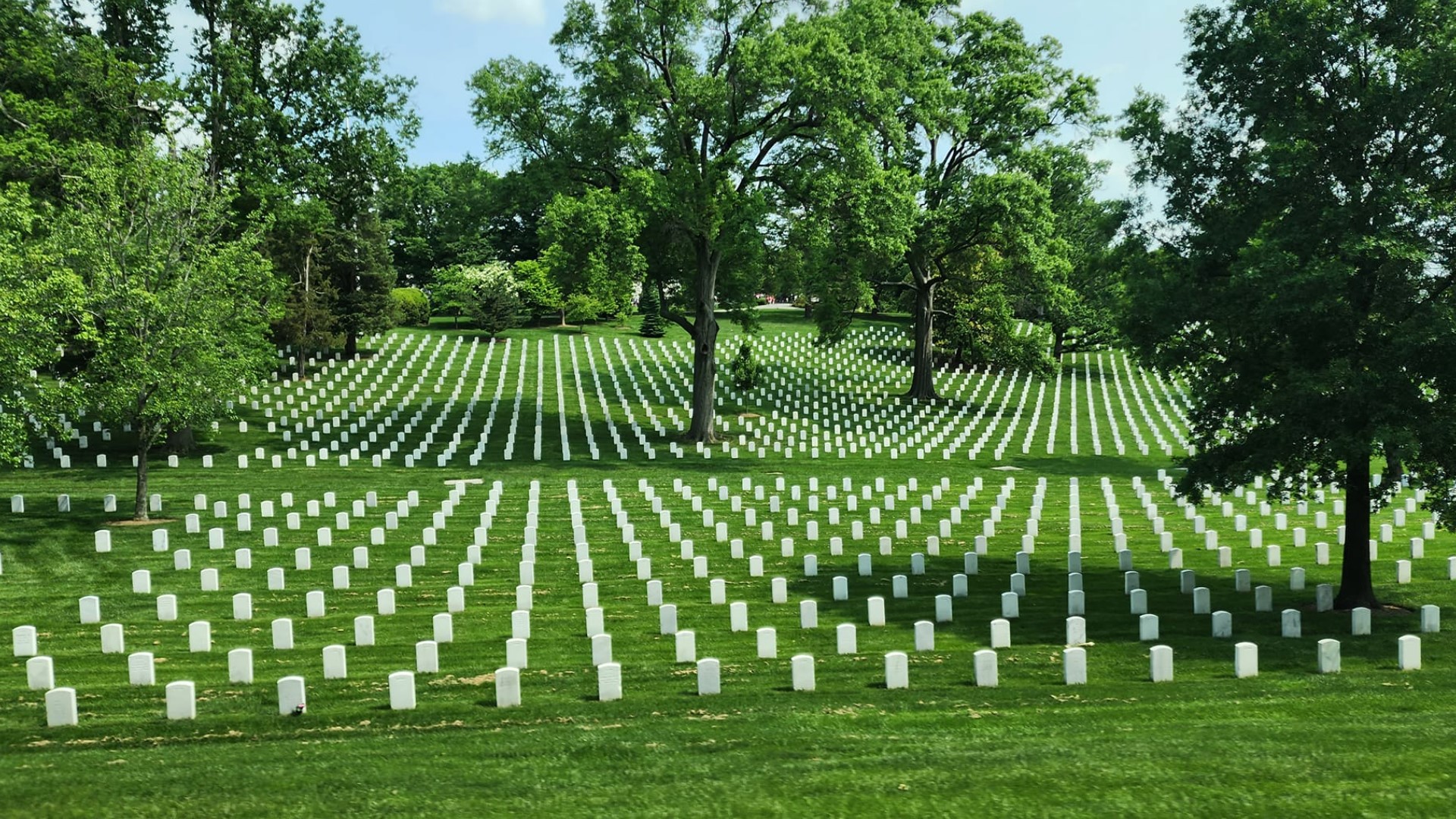 Honor Flight: Kentucky, Indiana veterans visit Washington D.C. | whas11.com