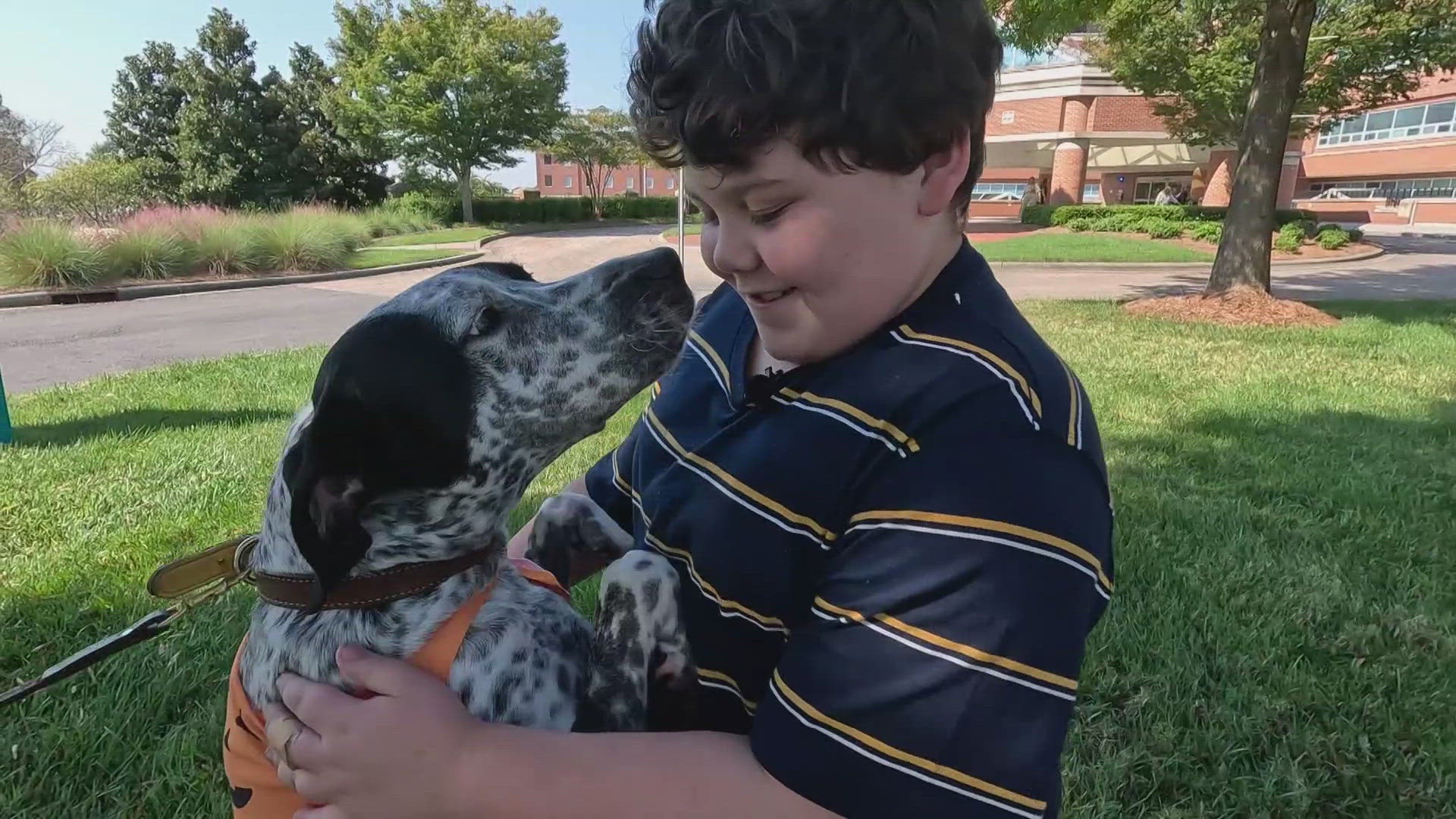 Family Dog Rescues North Carolina Boy Trapped Under Rubble From Helene ...