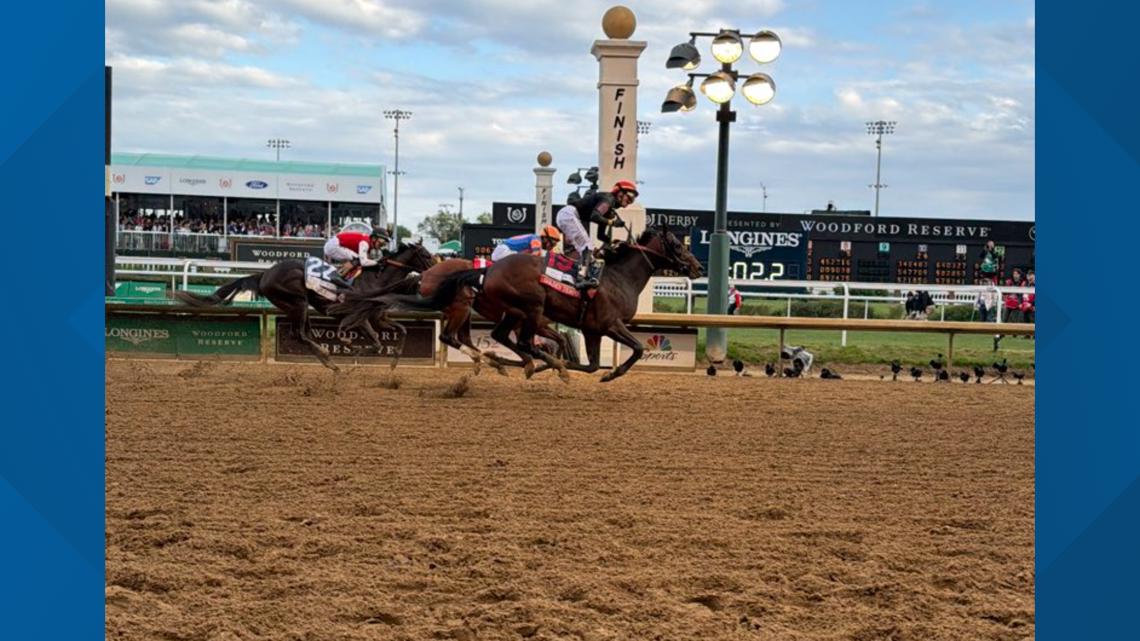 The race went down to 18 horses after Great White scratched right before the race started.