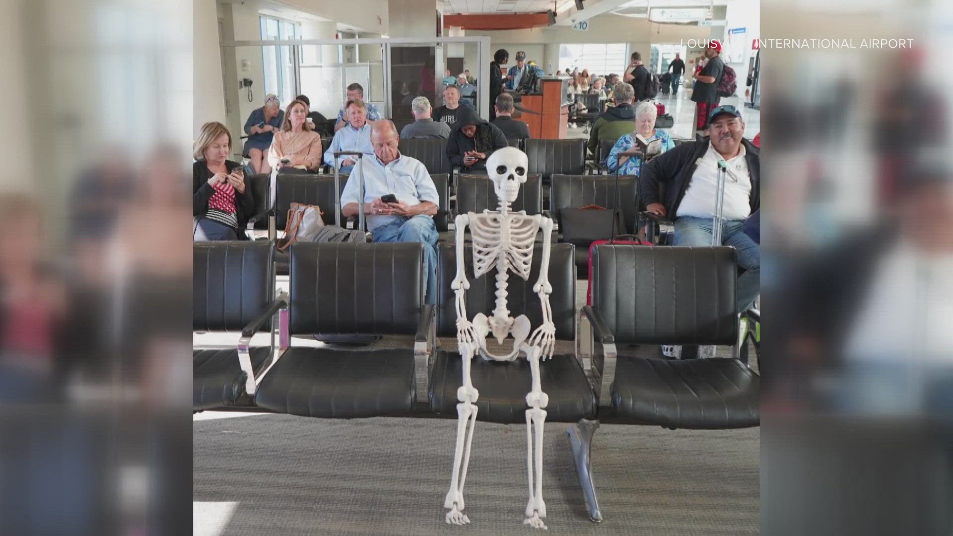 The newest visitor at the Louisville Muhammad Ali International Airport may be all bones, but it has plenty of spirit.