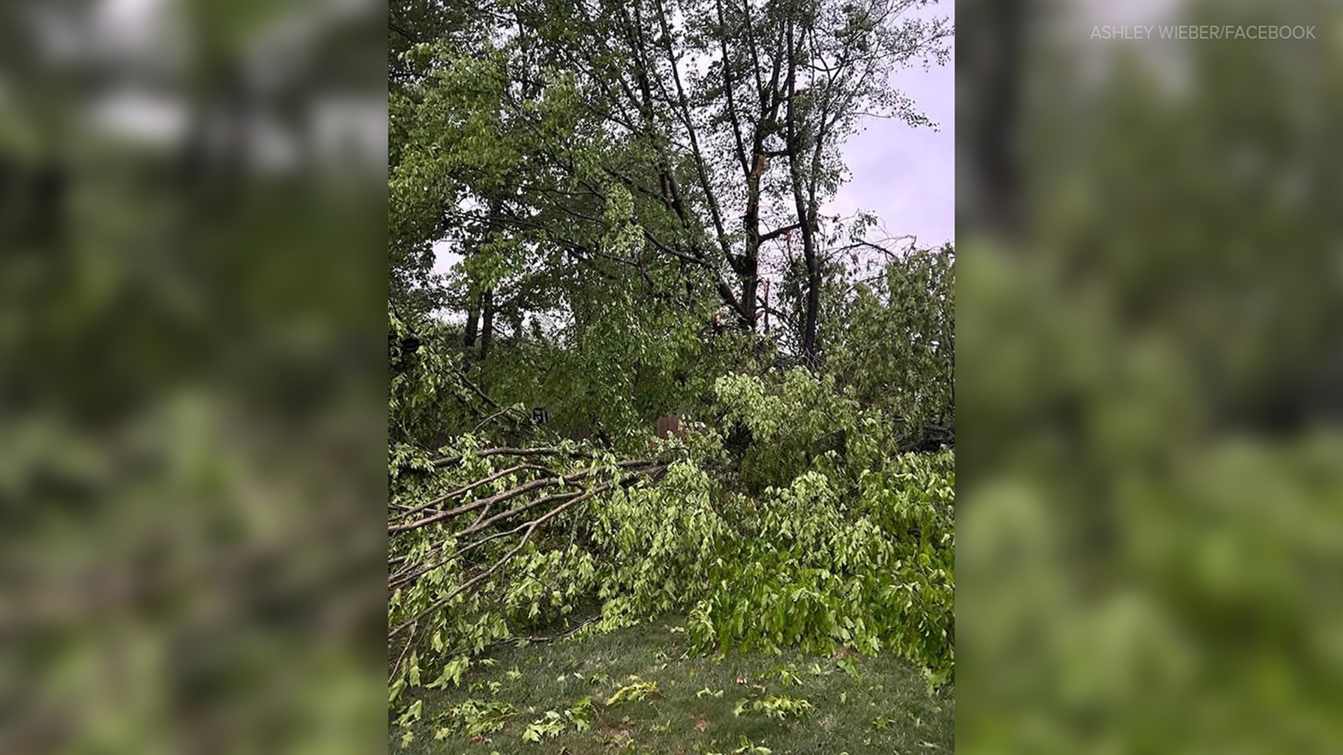 PHOTOS: Storm damage found across Kentucky, southern Indiana | whas11.com