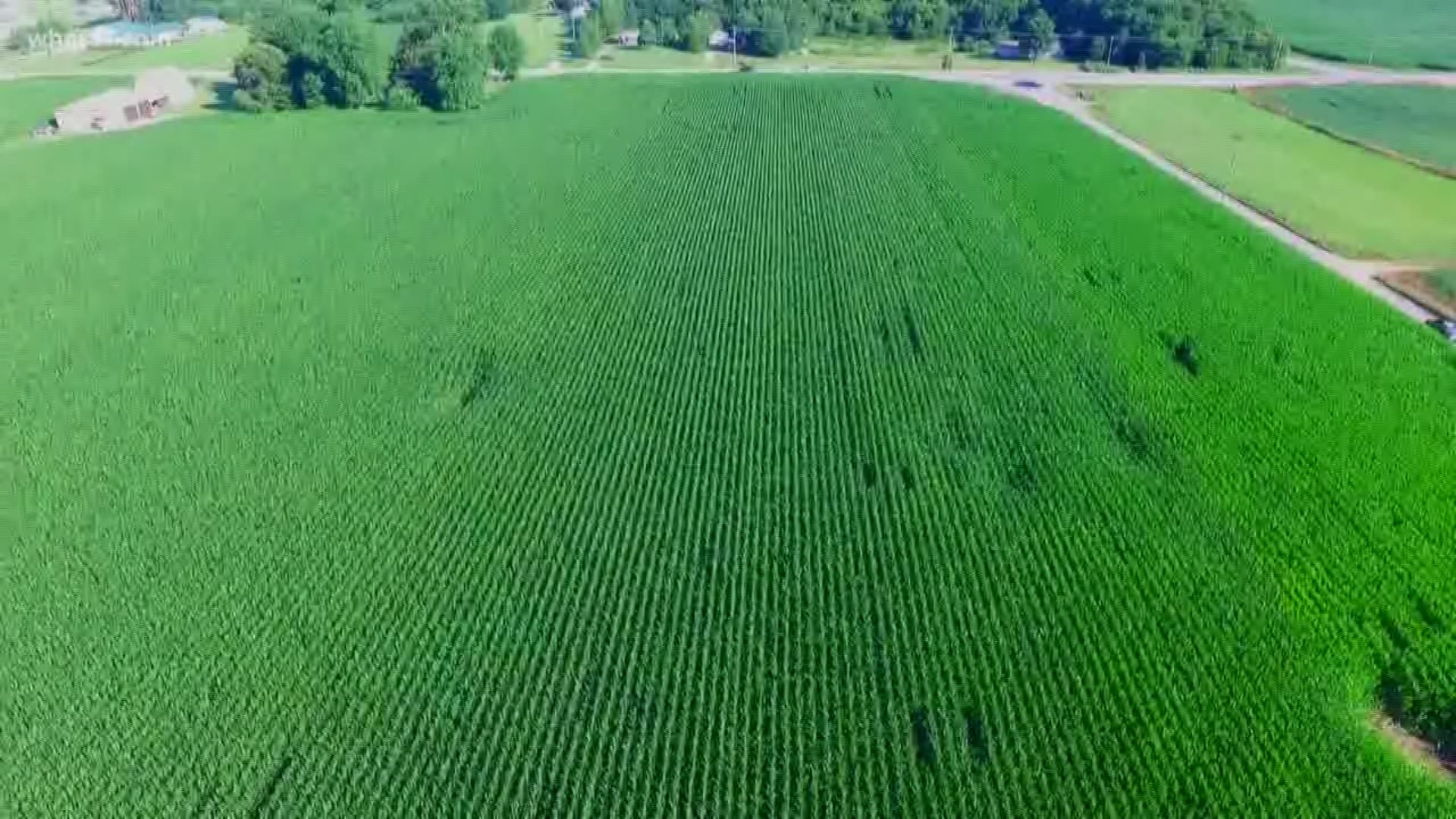The latest innovation in farming isn't a tractor or a seed - it's a drone. Farmers in southern Indiana are using drones to better manage their crops.