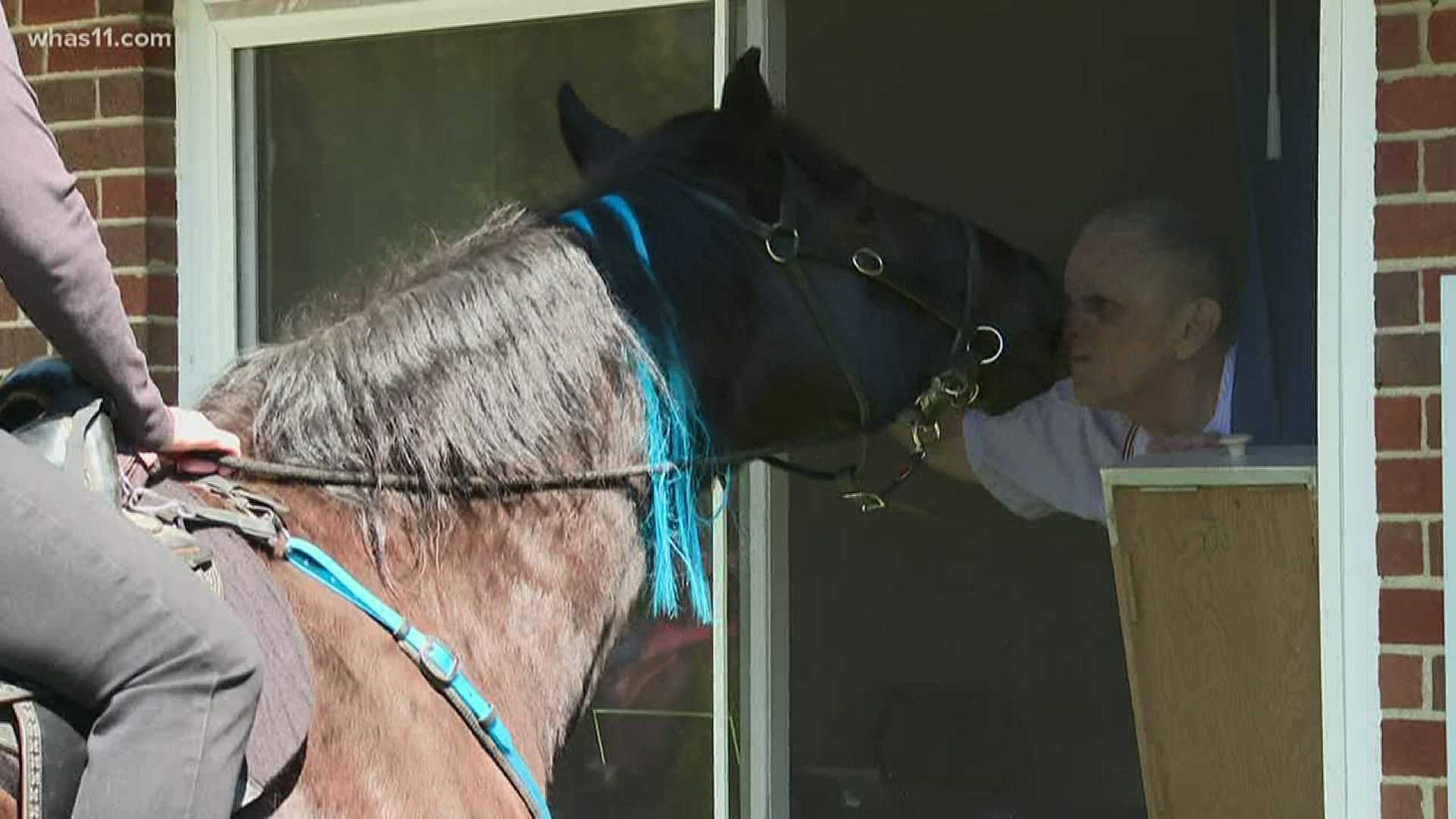 Residents in nursing homes are not allowed to have visitors during the pandemic, but one group decided to give a nursing home a horse show.