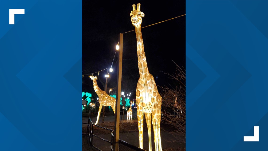 Louisville Zoo Lights