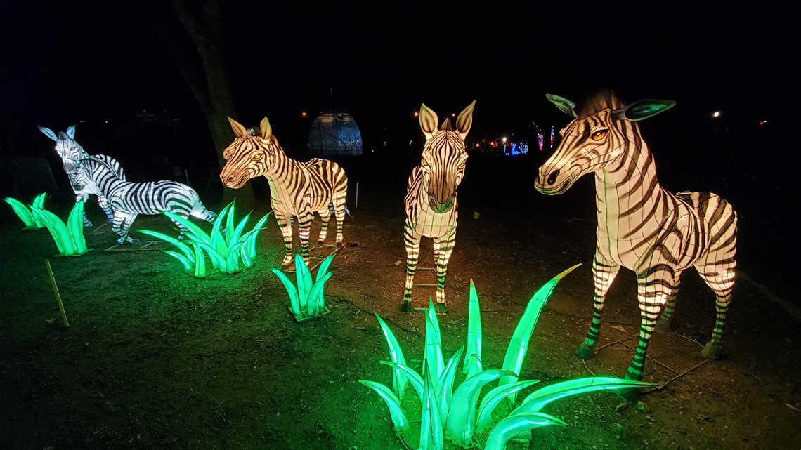 Louisville Zoo presents Wild Lights: Asian Lantern Festival | www.bagssaleusa.com