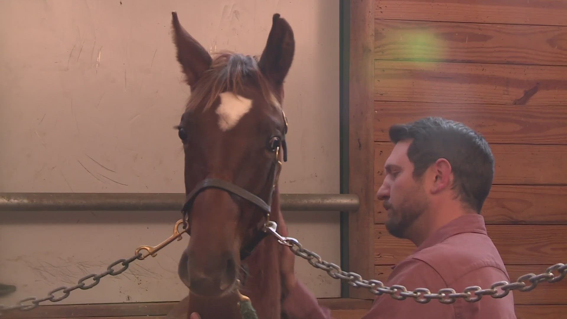 Veterans, addicts and horses heal together at 'HorseSensing