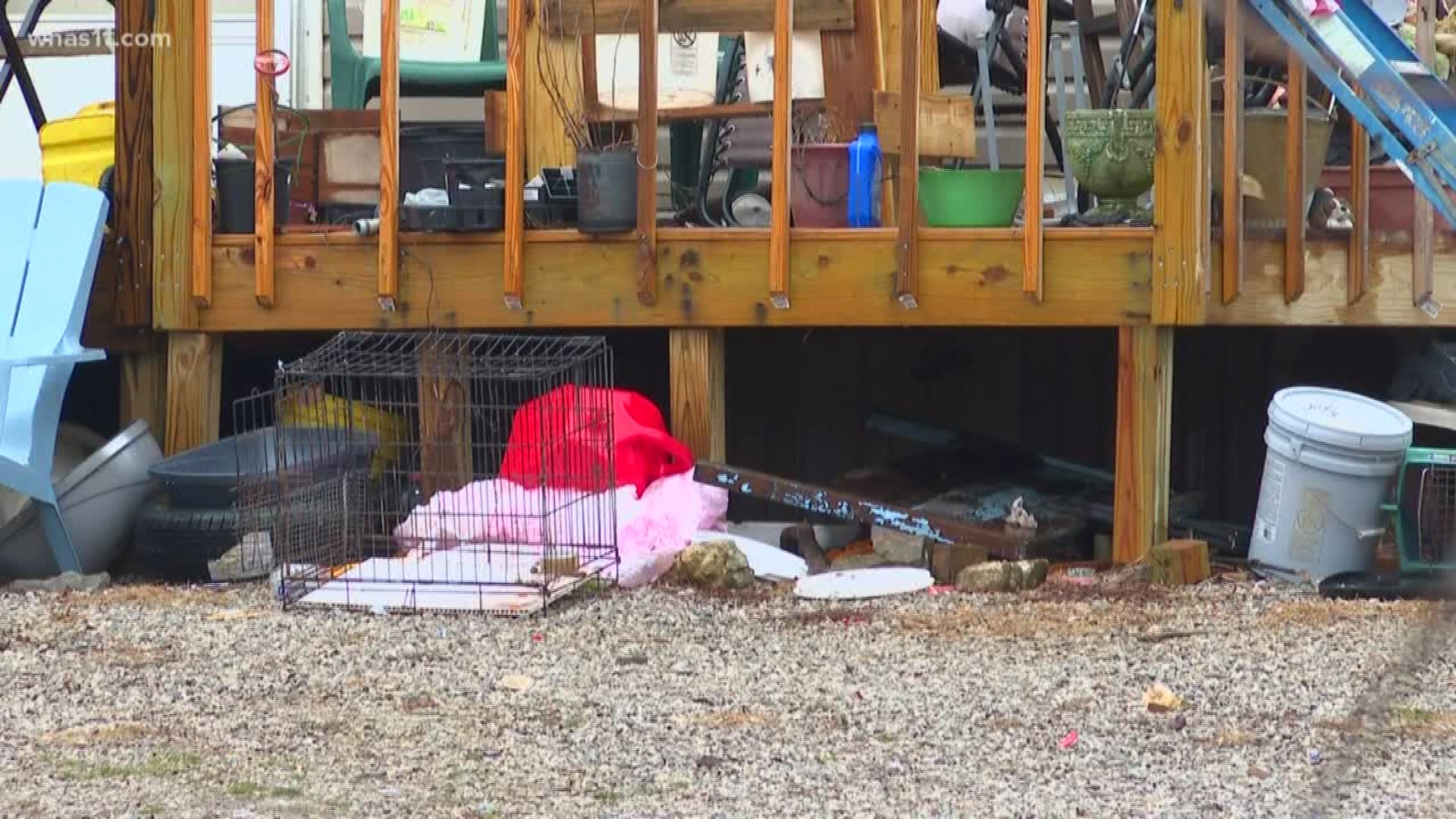 The Jefferson County, Indiana woman who had 134 animals taken from her home is pleading guilty to two counts of animal neglect.