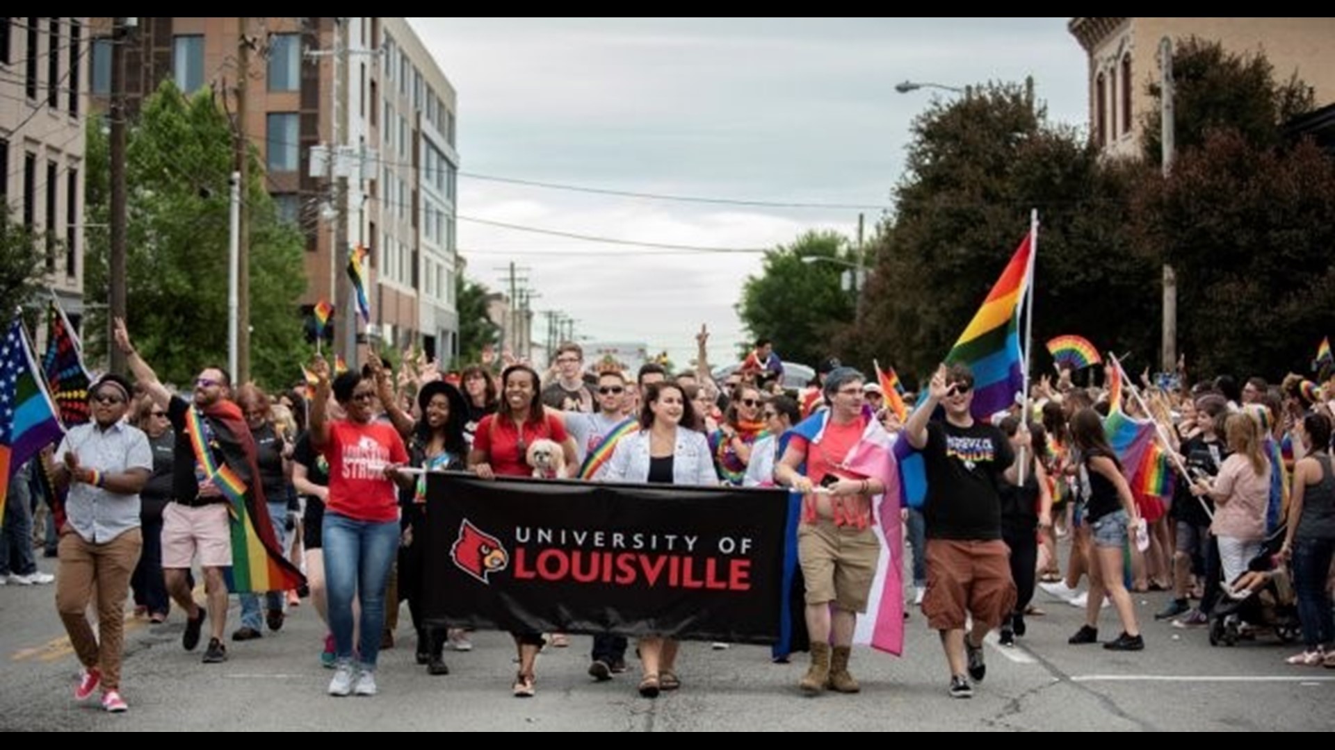 UofL recognized as safe, environment for LGBTQ+ folks