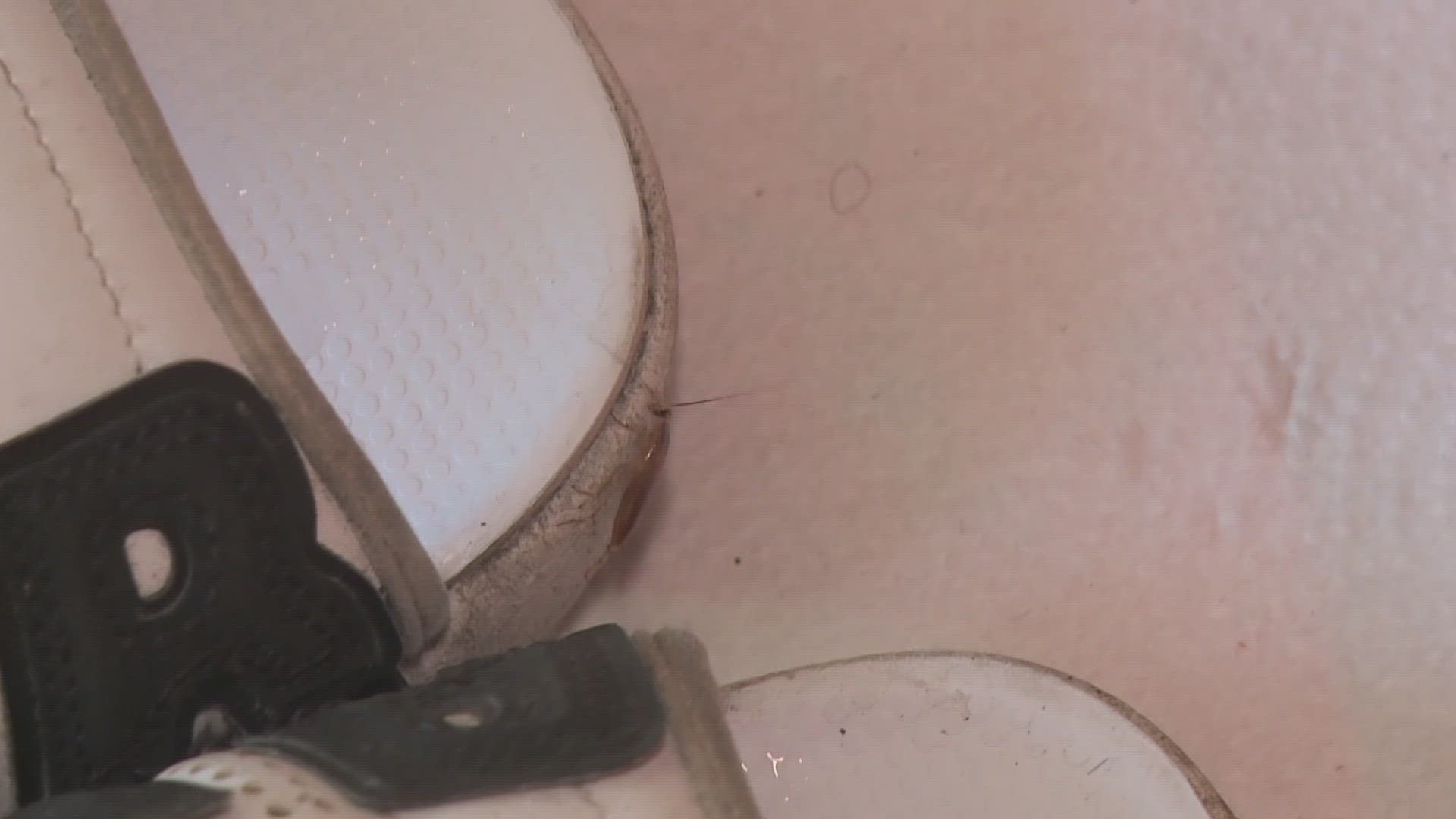 For years, city leaders and residents have raised concerns about mold, lack of air conditioning and bed bugs.