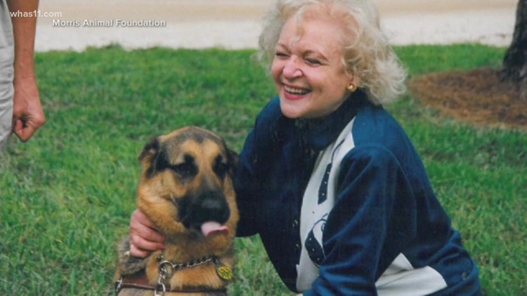 The #BettyWhiteChallenge asks people to donate to local animal shelters