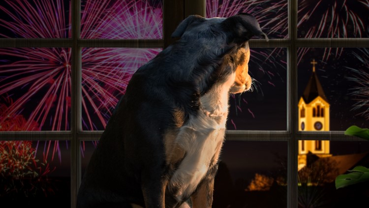 Here's how you can reduce your pet's stress during Thunder Over Louisville
