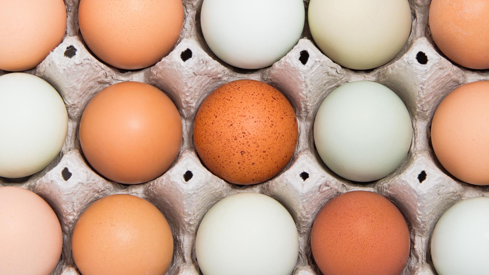 Research now suggests that eating a dozen or more eggs per week may not have a negative impact on cholesterol for adults over 50.