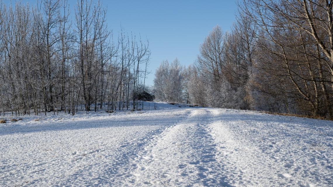 Winter storm warning issued for these Kentucky counties | 3-5 inches of snow expected