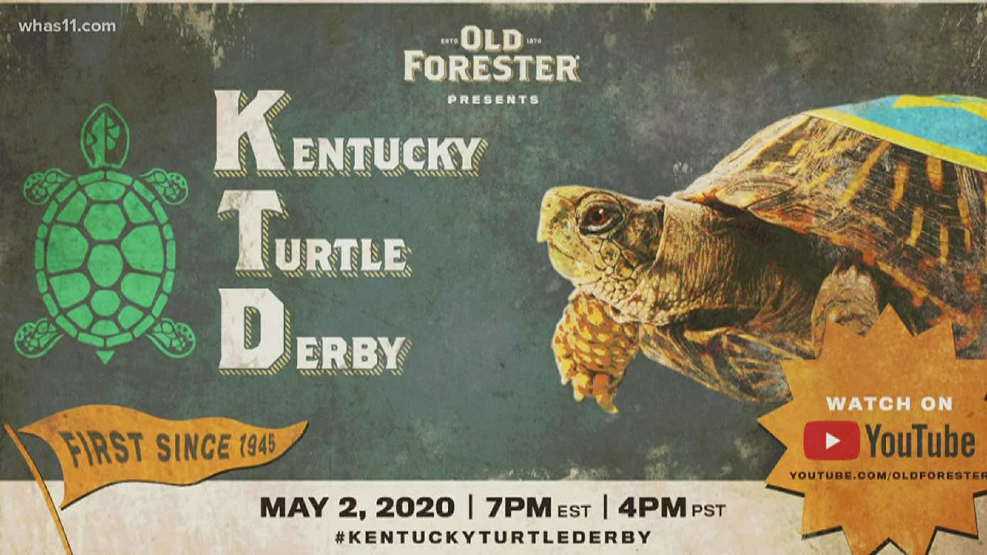 Old Forrester is hosting a turtle version of the Kentucky Derby online at 7 p.m.