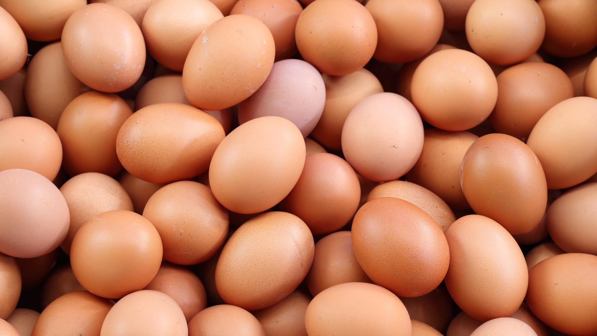 Egg prices increased almost 6% from January to February alone.