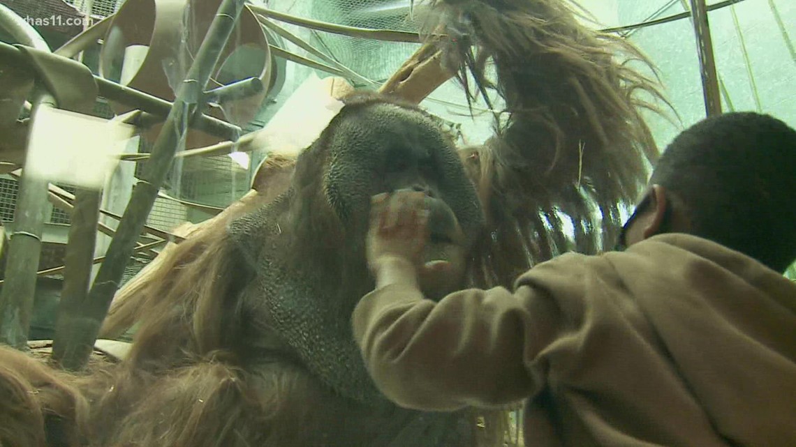Vault: Louisville Zoo has expanded significantly since it first started