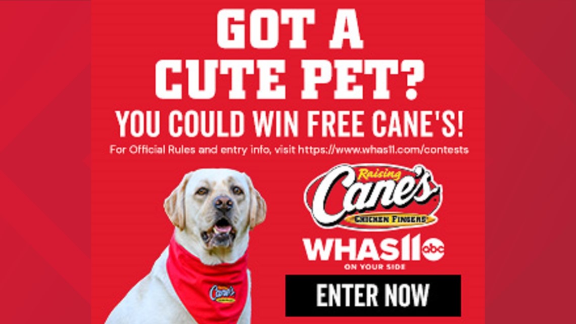 WHAS11 Raising Cane's Cutest Pet Contest