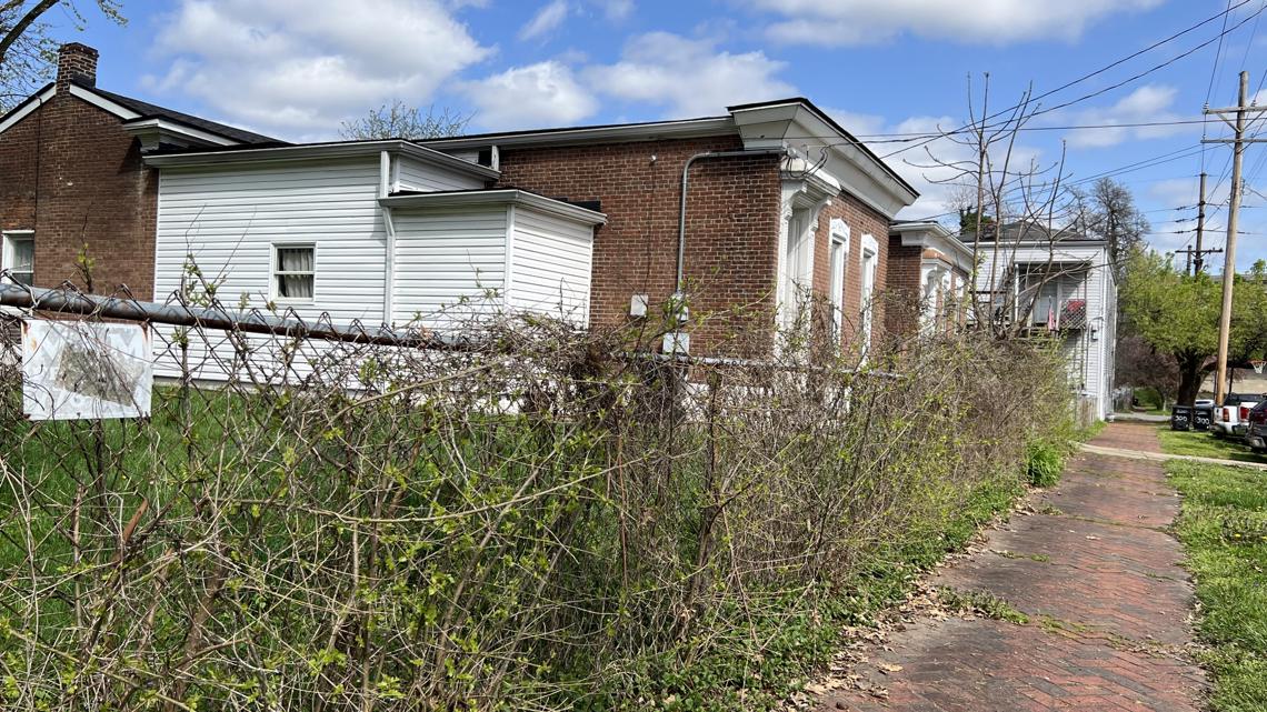 Louisville neighbor cares for vacant lot, no solution in sight - Vimarsana News