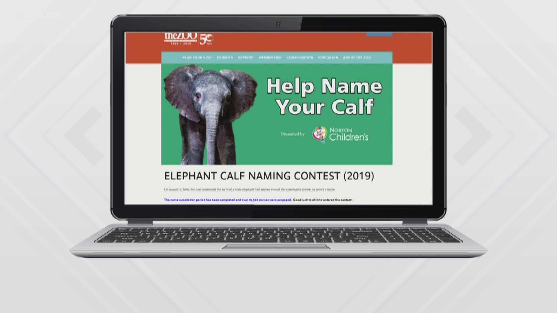 The final round of names have boiled down to three as voting for those reopen on the zoo's website Oct. 7.