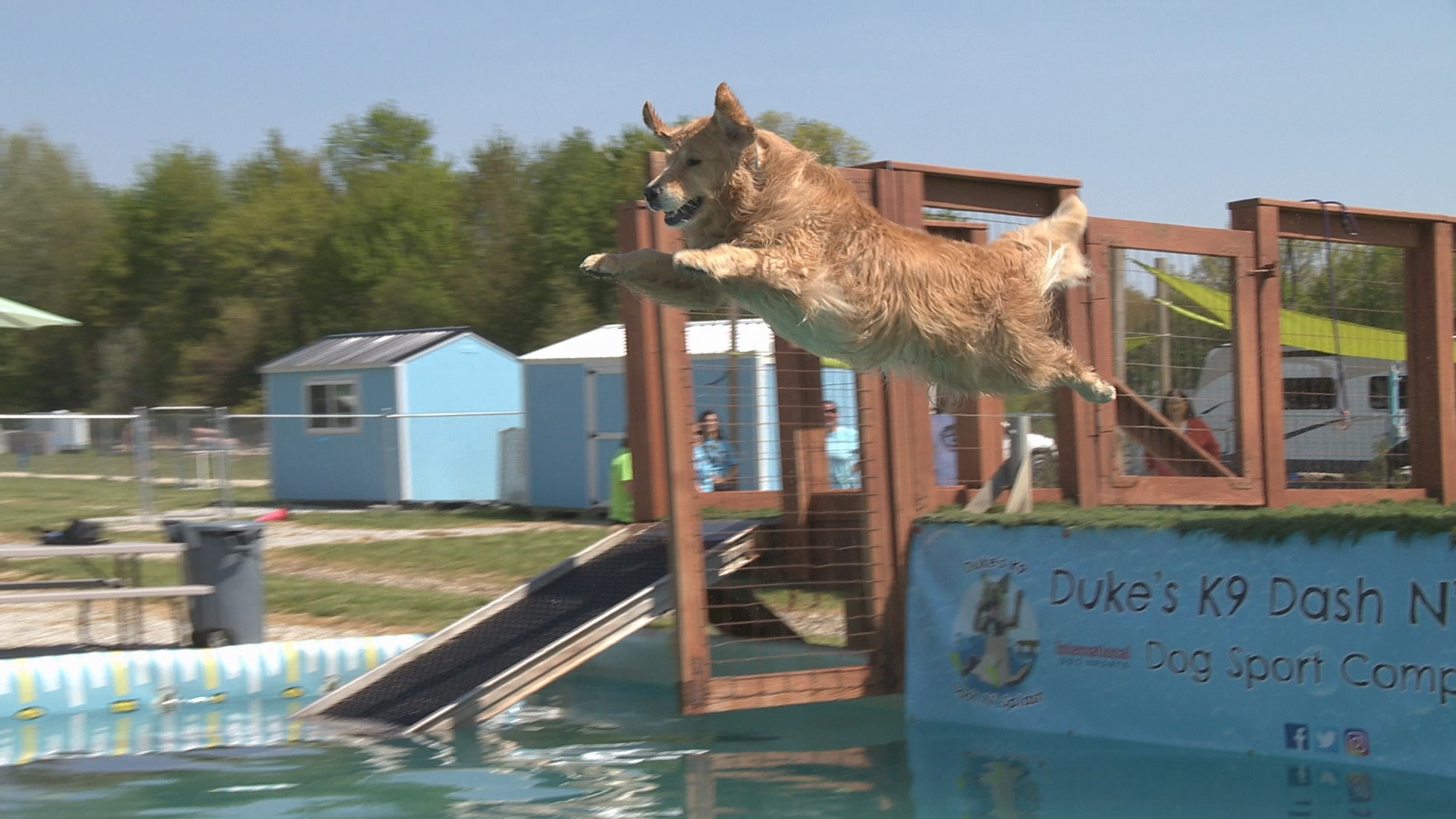 Once known for dock diving, the Portage County facility now offers many of the top sports for dogs.