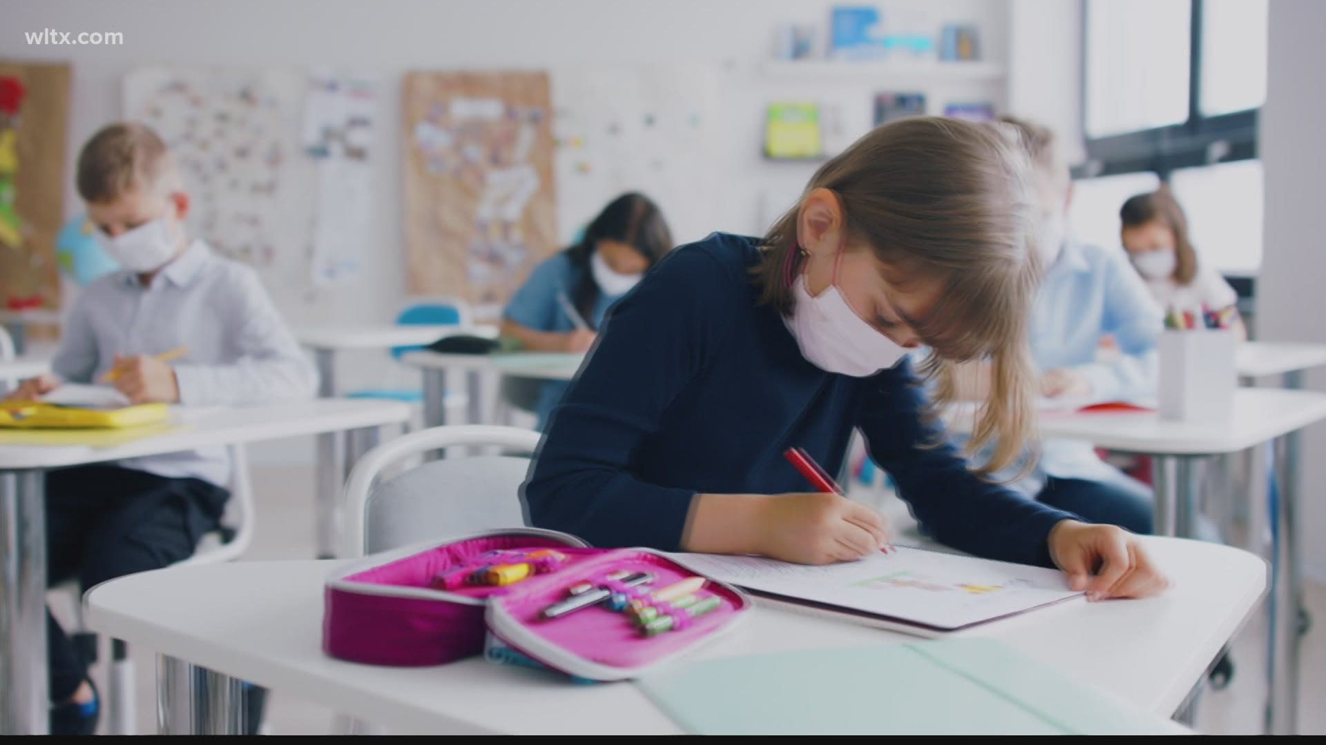 All South Carolina Schools To Get Rapid Covid Test Kits Whas11 Com All South Carolina Schools To Get Rapid Covid Test Kits Whas11 Com