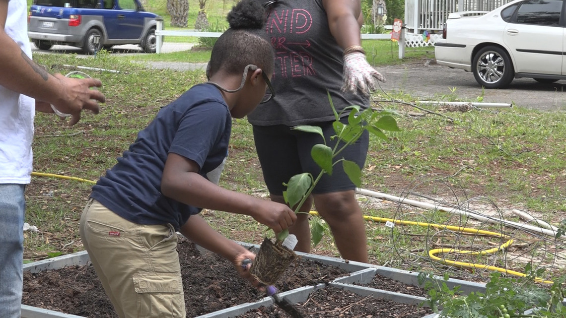 Peyton's Place community garden opens in Batesburg-Leesville, SC - Vimarsana News