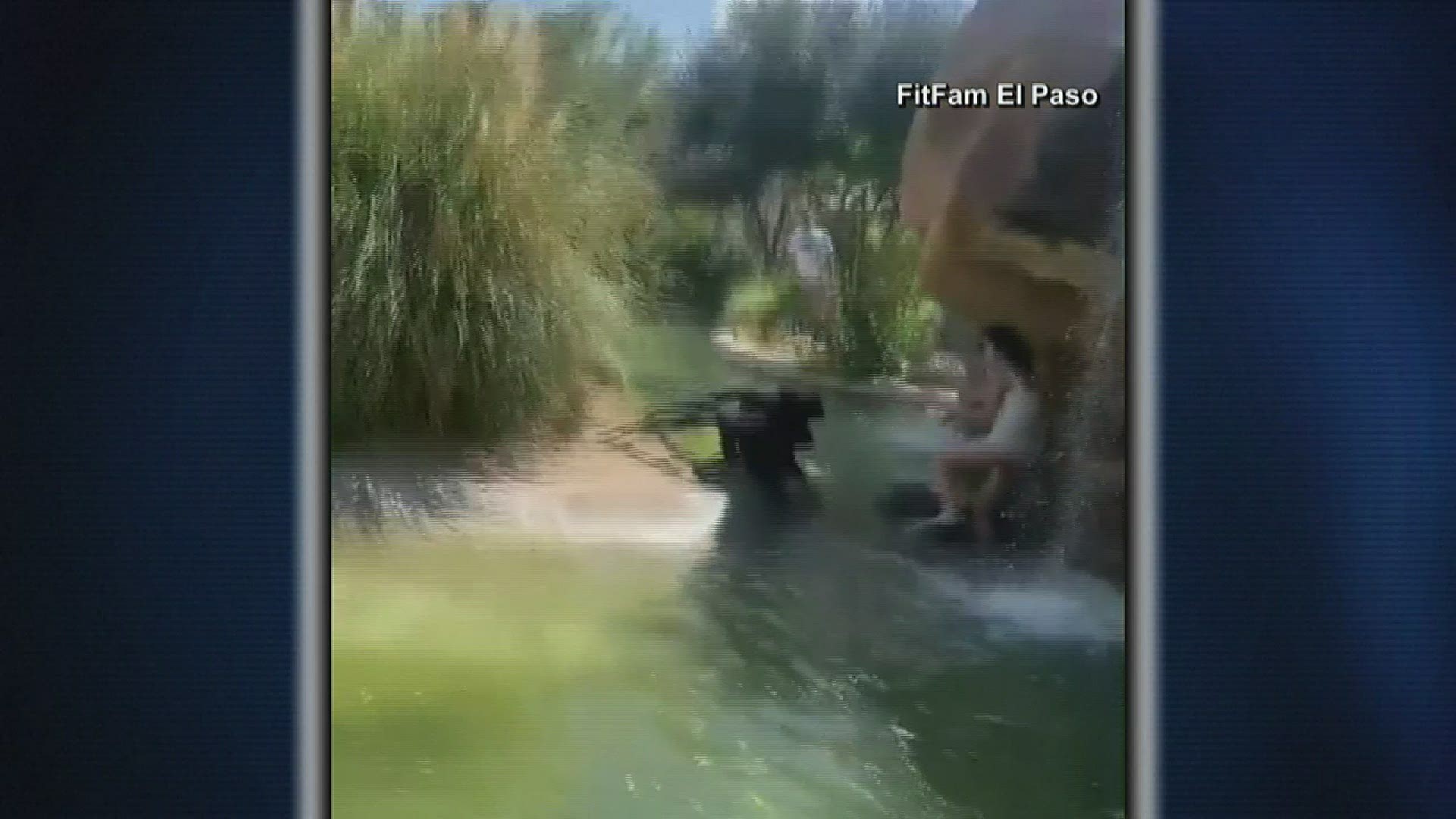 A woman caught monkeying around on camera at a Texas zoo lost her job and she could face criminal charges.