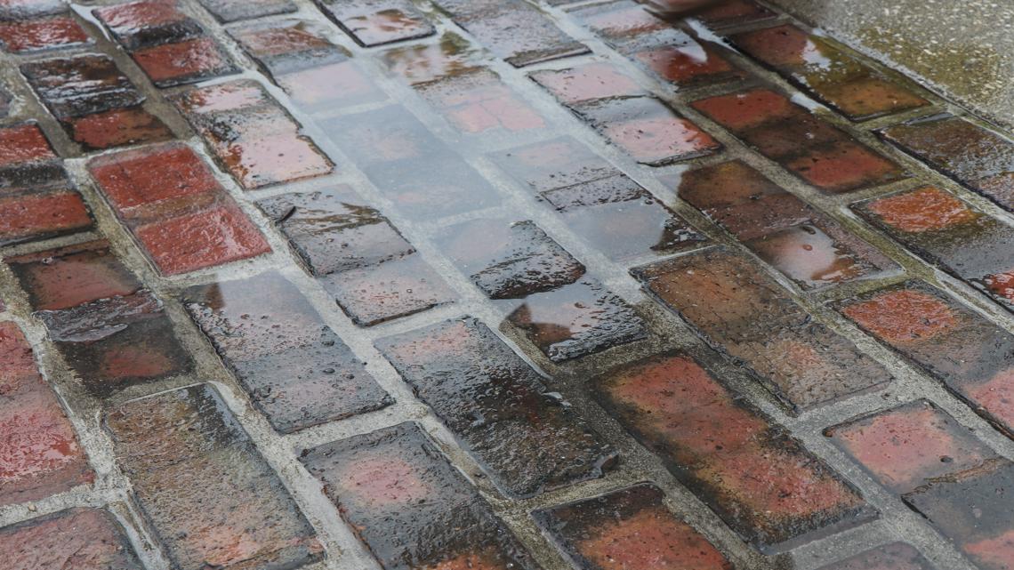 Race fans deal with rain delay ahead of Indy 500 - Vimarsana News