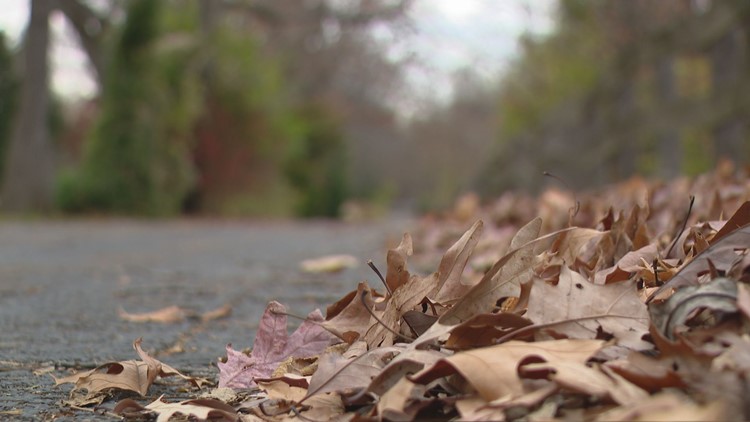 Leaf-cycling: Experts say it's the best way to take care of your lawn this fall