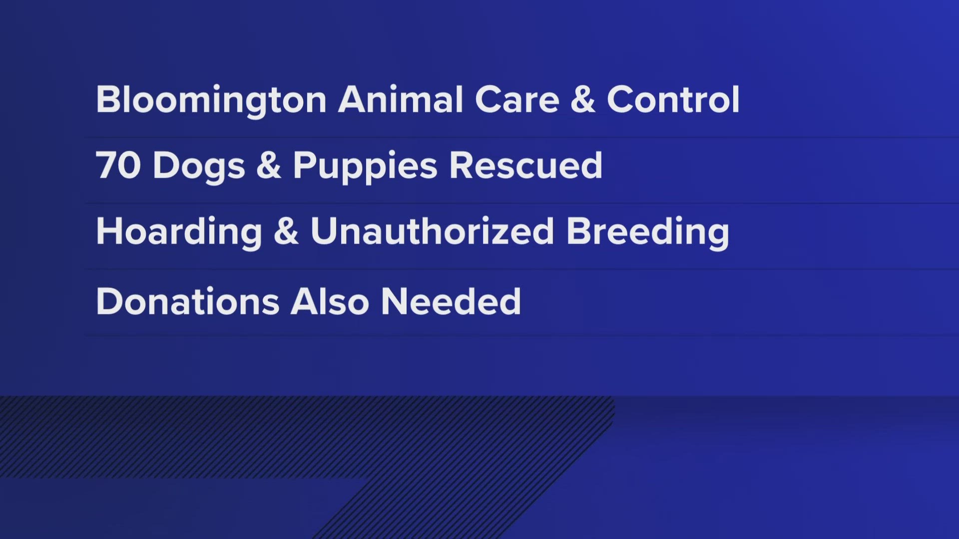 The dogs were seized Friday by the City of Bloomington Animal Care and Control.