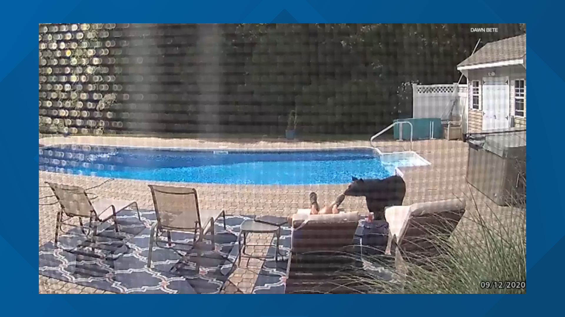 Dawn Bete shared a video on Facebook from her Ring camera of a bear walking up to a man and nudging his foot, who was presumably asleep by the pool.