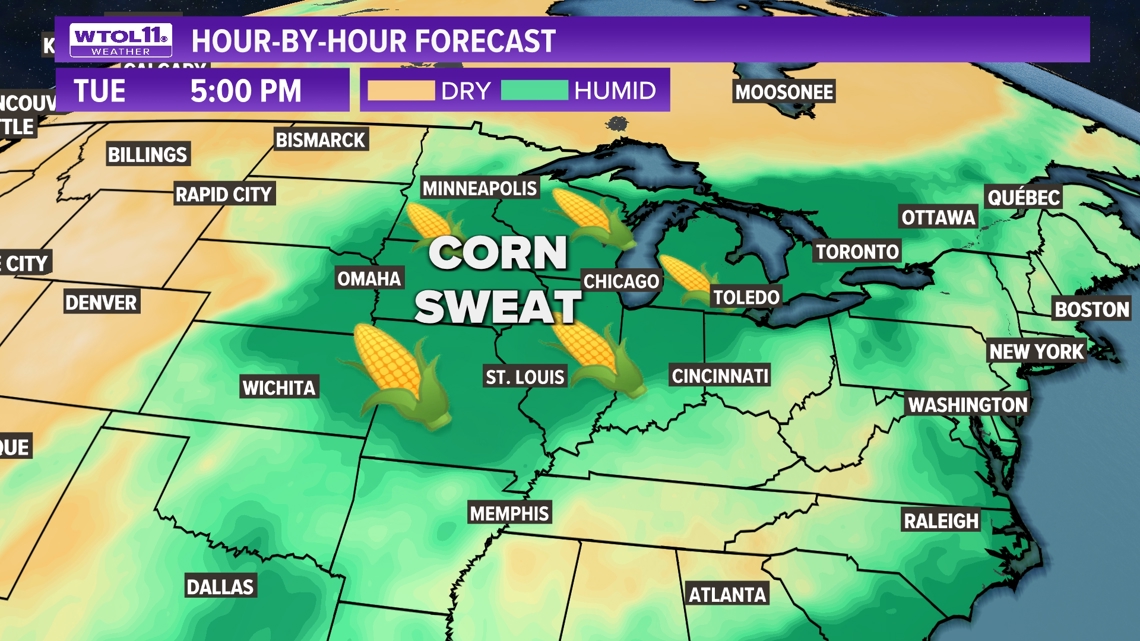 What is 'corn sweat' and how does it contribute to heat, humidity ...