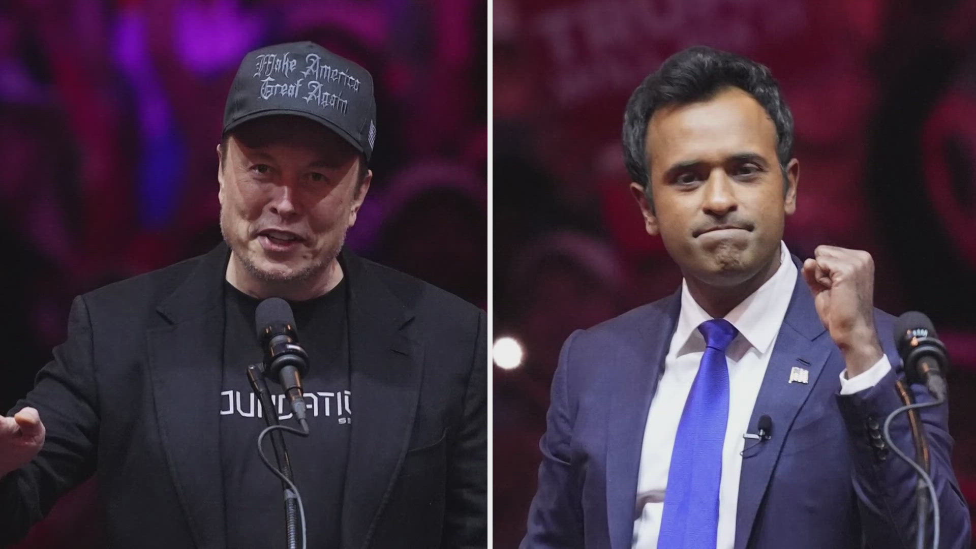 Vivek Ramaswamy and Elon Musk were tapped to head the Department of Government Efficiency, or DOGE.